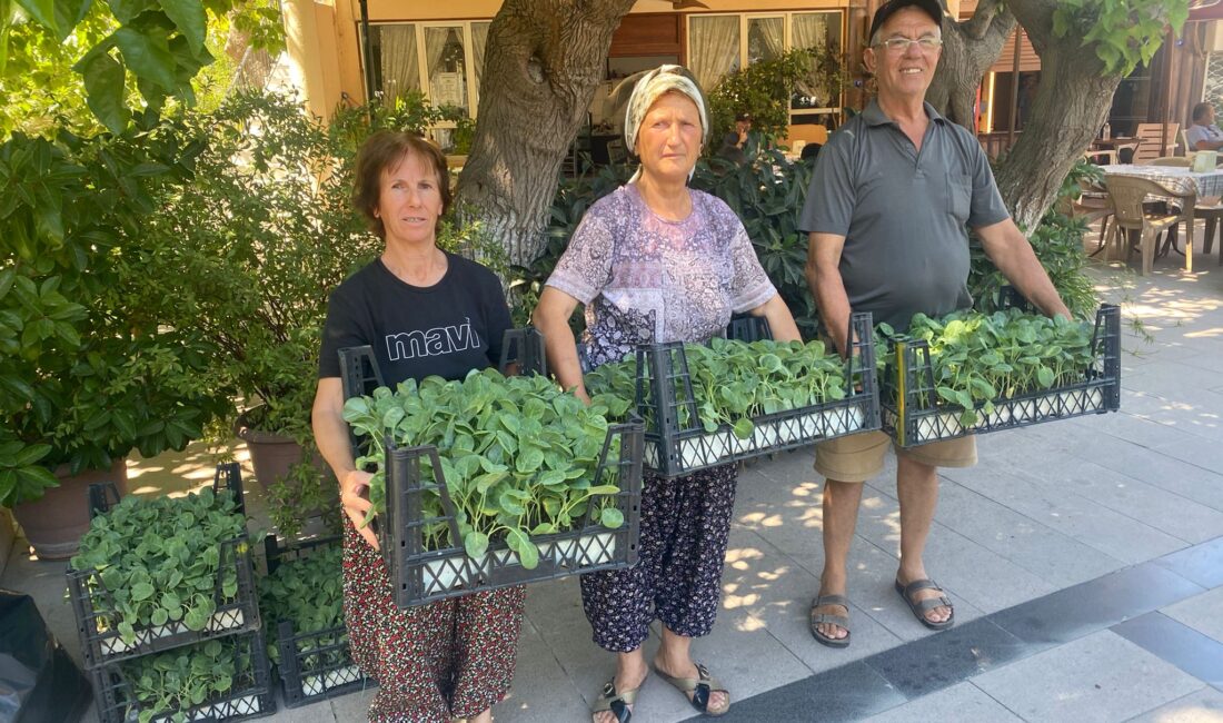 Urla Belediyesi kırsal mahallelerde üretimi güçlendirmek ve alternatif ürün desenini