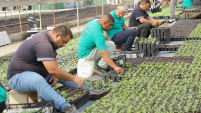 Edirne Belediyesi’nden Şehri Renklendirecek 360 Bin Hercai Menekşe Edirne Belediyesi