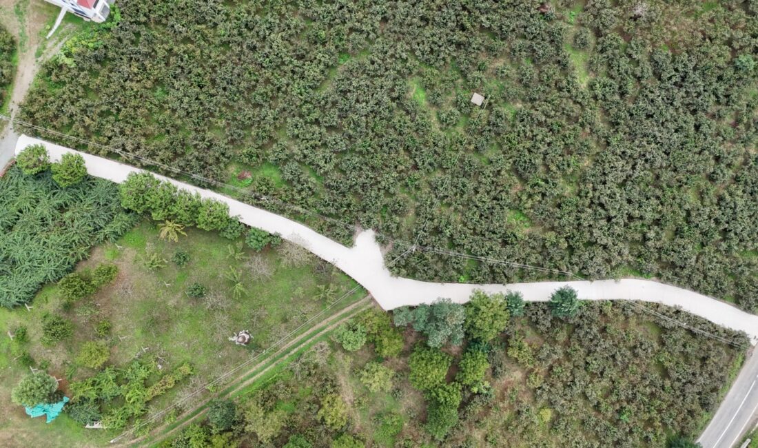 Altınordu Belediyesi Yol Sorunlarını Çözüme Kavuşturuyor Kentin kanayan yarası haline