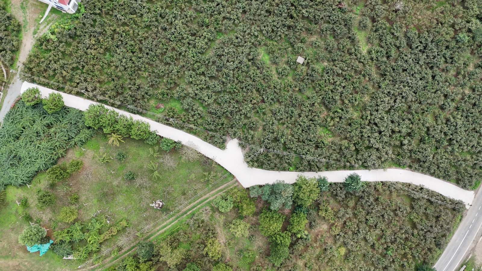 Altınordu Belediyesi Yol Sorunlarını Çözüme Kavuşturuyor Kentin kanayan yarası haline