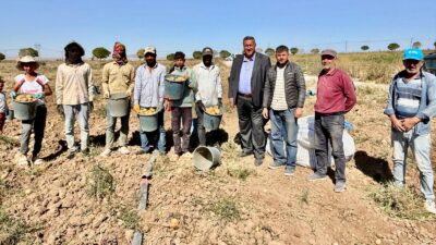 Ömer Fethi Gürer: “Çiftçinin Tarlada Bıraktığı Ürünü Tüketici Raftaki Fiyatından