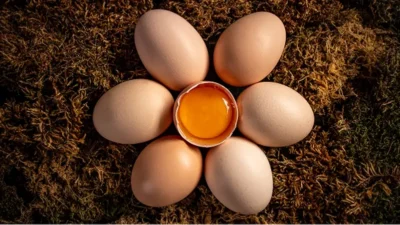 Yumurta Nedir? Protein Oranı, Sağlık Açısından Önemi Ve Daha Fazlası Yumurta Nedir? Protein Oranı, Sağlık Açısından Önemi Ve Daha Fazlası