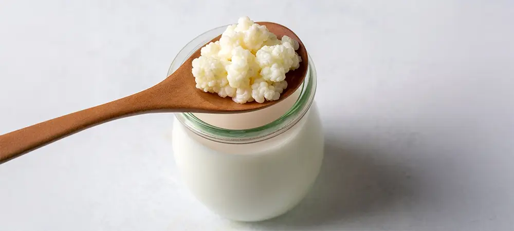 Kefir, probiyotik niteliği ile tüm süt ürünlerinden daha nitelikli olarak