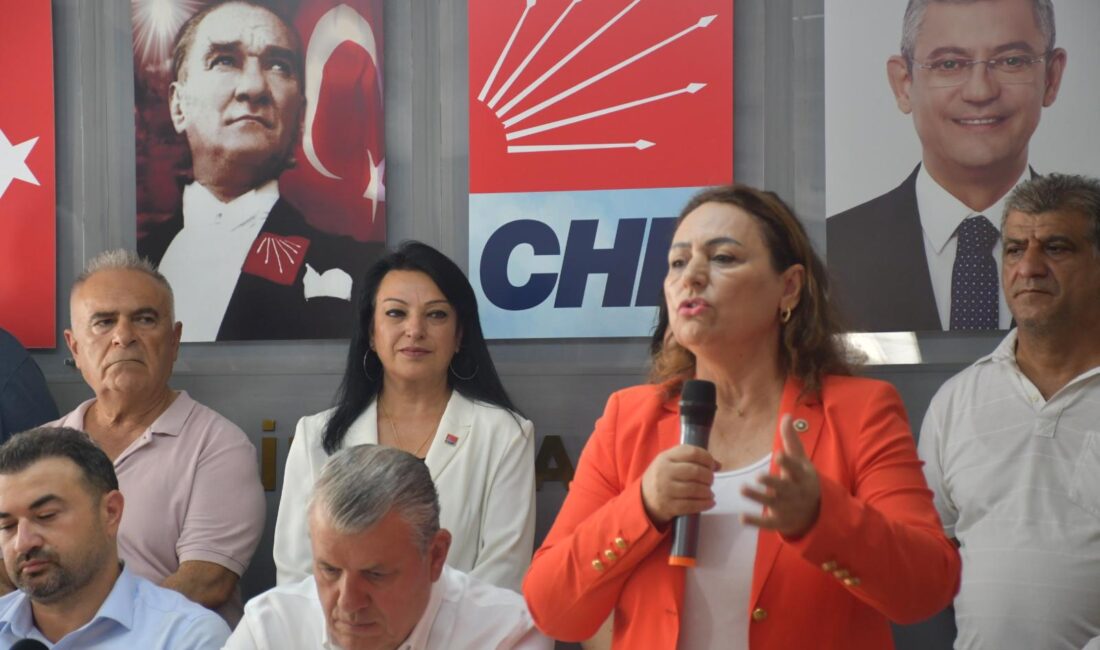 Cumhuriyet Halk Partisi (CHP) Adana Milletvekili, TBMM Başkanlık Divanı Üyesi