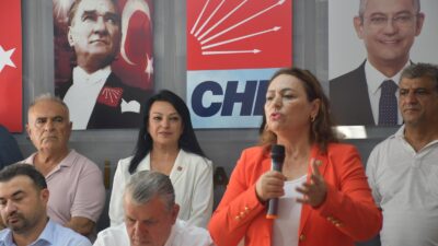 Cumhuriyet Halk Partisi (CHP) Adana Milletvekili, TBMM Başkanlık Divanı Üyesi