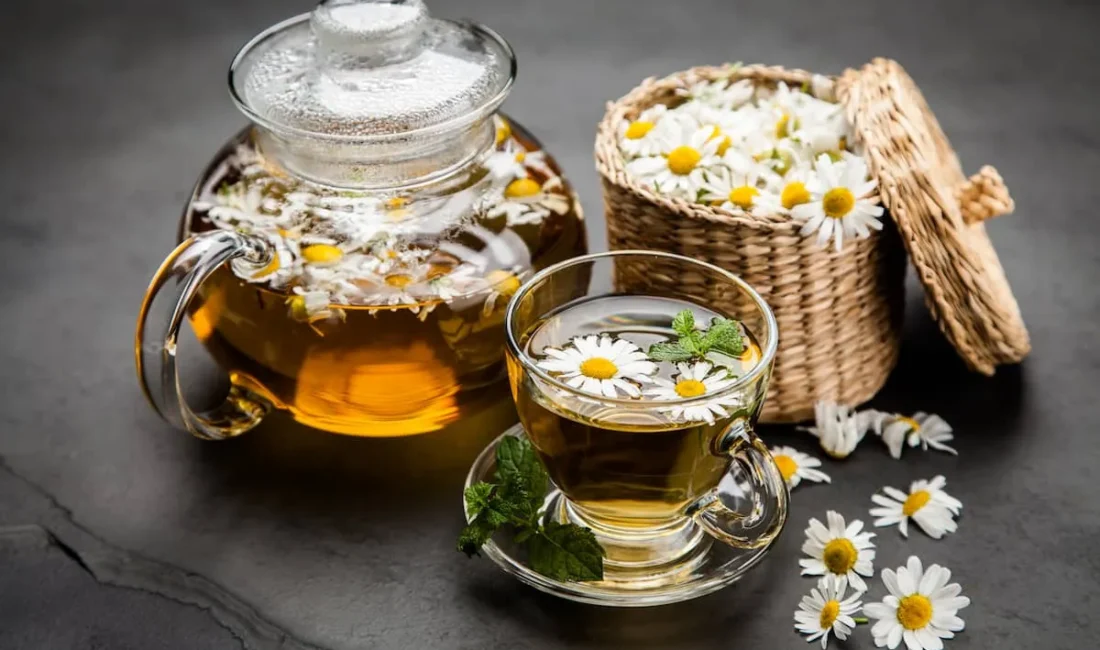Papatya Çayının Faydaları Nelerdir? Papatya Çayı Neye İyi Gelir? Papatya