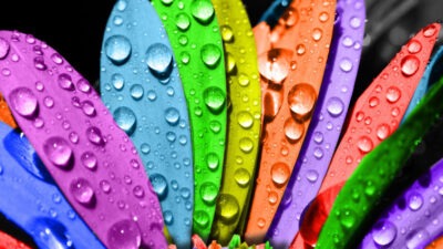 Renklerin Anlamları ve Etkileri ve Renklerin Dijital Etkileri Renkler insanlığın