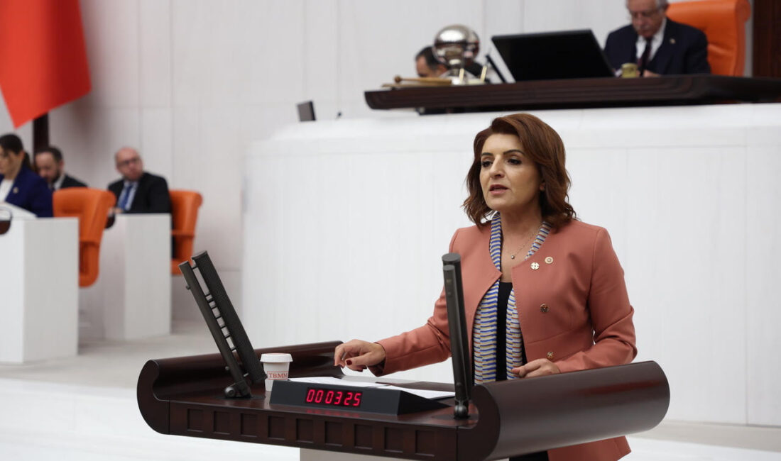 Gülcan Kış: Devletin Kasası Boş, Gözler Köprülerde! Tarihin En Büyük