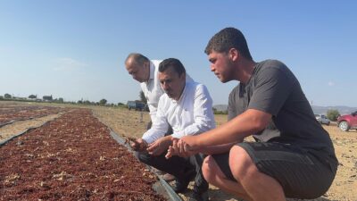 CHP Manisa Milletvekili ve Tarım, Orman ve Köyişleri Komisyonu Üyesi