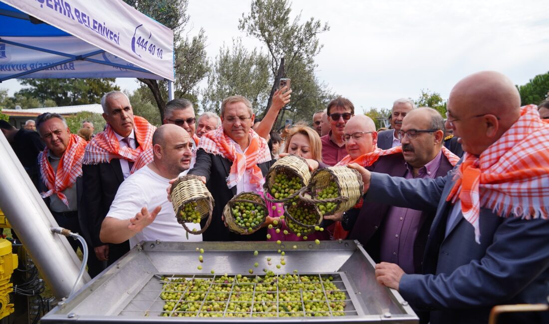20. Ayvalık Uluslararası Zeytin Hasat ve Turizm Festivali Başlıyor 15