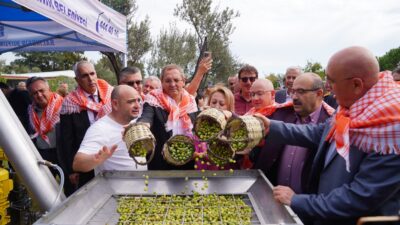 20. Ayvalık Uluslararası Zeytin Hasat ve Turizm Festivali Başlıyor 15