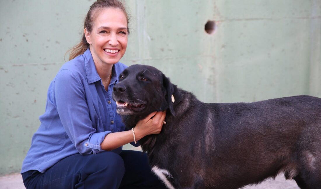 Karşıyaka Belediyesi'nin ruhsat ve oturma raporu başvurularında uyguladığı mama bağışı