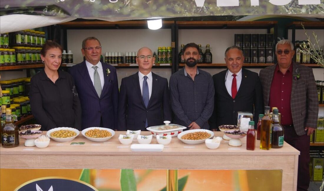 Ayvalık’ta Zeytin ve Zeytinyağı Büyük Festival Pazarı Açıldı 20. Uluslararası