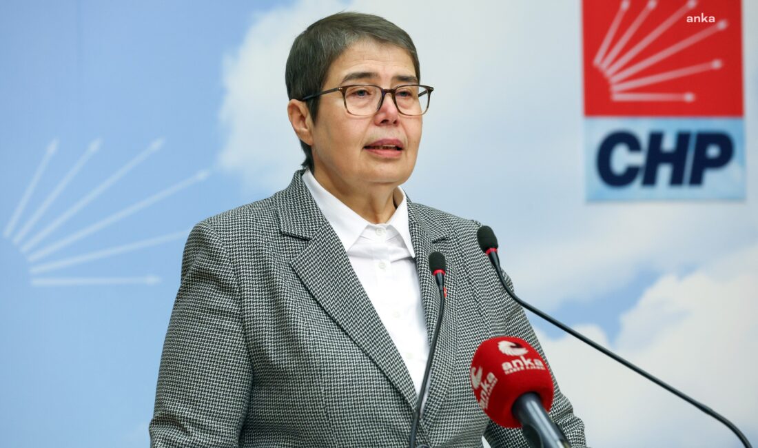 Zeliha Aksaz Şahbaz: Ayşe Barım’ın ve Hasta Mahpusların Tutukluluğuna Karşı