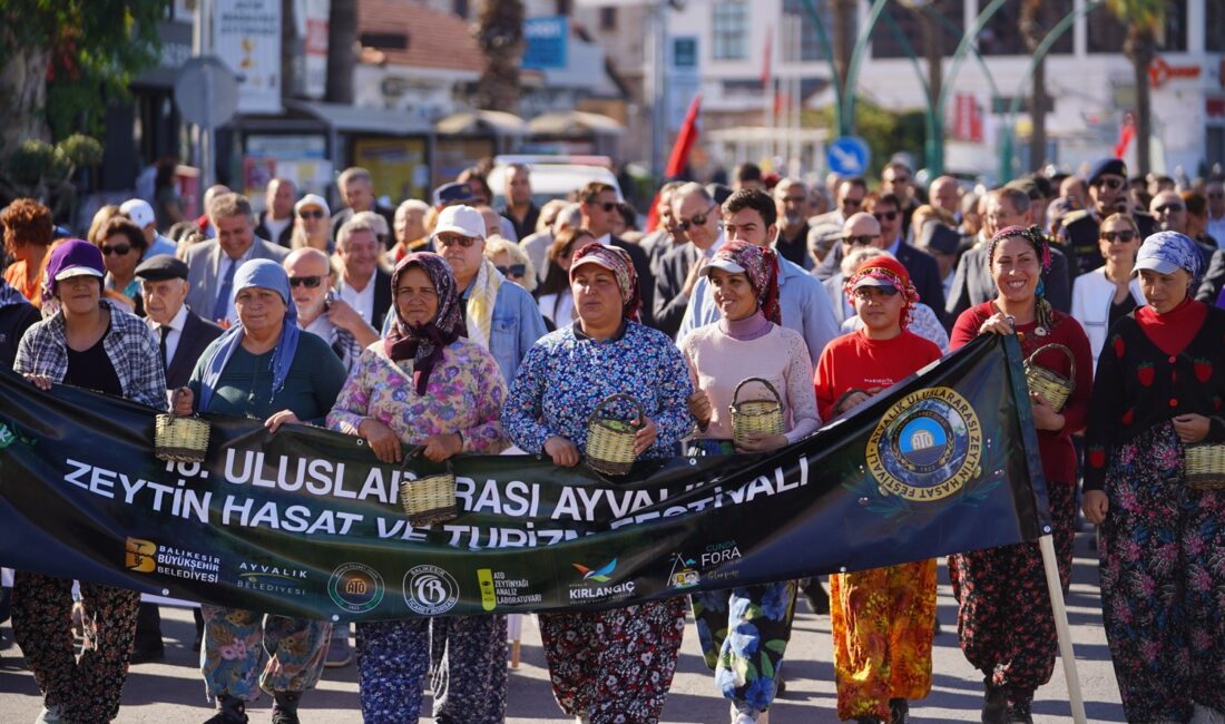 Ayvalık Uluslararası Zeytin Hasat ve Turizm Festivali Başlıyor Bu yıl