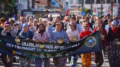 Ayvalık Uluslararası Zeytin Hasat ve Turizm Festivali Başlıyor Ayvalık Uluslararası Zeytin Hasat ve Turizm Festivali Başlıyor Bu yıl