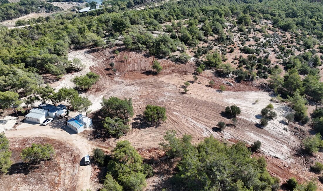 Mezitli Belediyesi’nden Sokak Hayvanları İçin “Doğal Yaşam Alanı” Projesi Mezitli