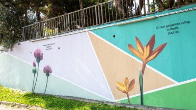 Bursa’nın Hazineleri Duvarları Güzelleştiriyor Bursa’nın Hazineleri Duvarları Güzelleştiriyor Bursa Büyükşehir Belediyesi, kentin farklı bölgelerindeki