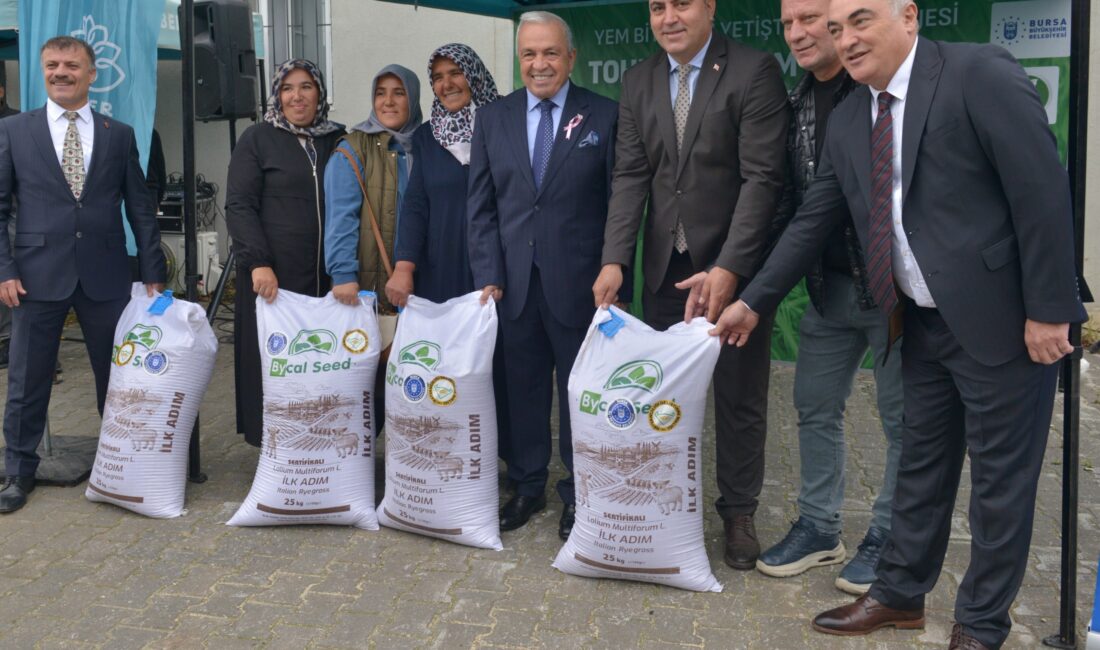 Bursa Büyükşehir Üreticilere İtalyan Çimi Tohumu Dağıttı Bursa’da tohumdan hasada