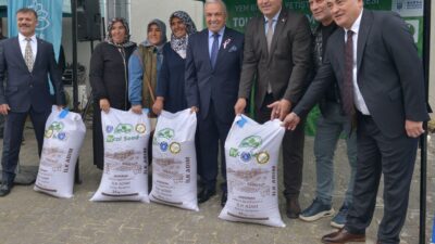 Bursa Büyükşehir Üreticilere İtalyan Çimi Tohumu Dağıttı Bursa’da tohumdan hasada