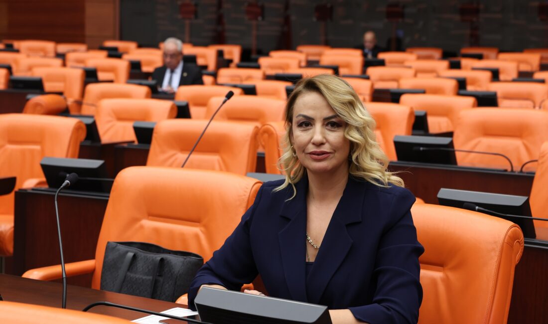 Nermin Yıldırım Kara: “Halka Sefalet Müteahhitlere Servet Dönemi” Kamu Özel