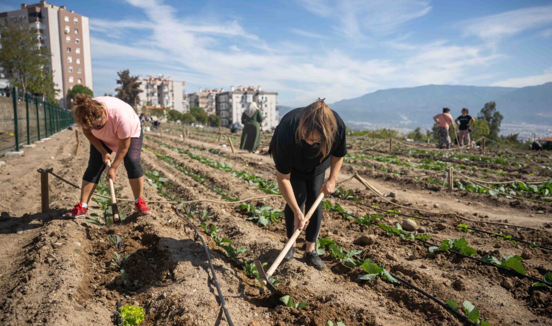 Kadınlar Toprakla, Bornova Umutla Buluşuyor Kadınlar Toprakla, Bornova Umutla Buluşuyor Bornova Belediyesi’nin 6 farklı noktada