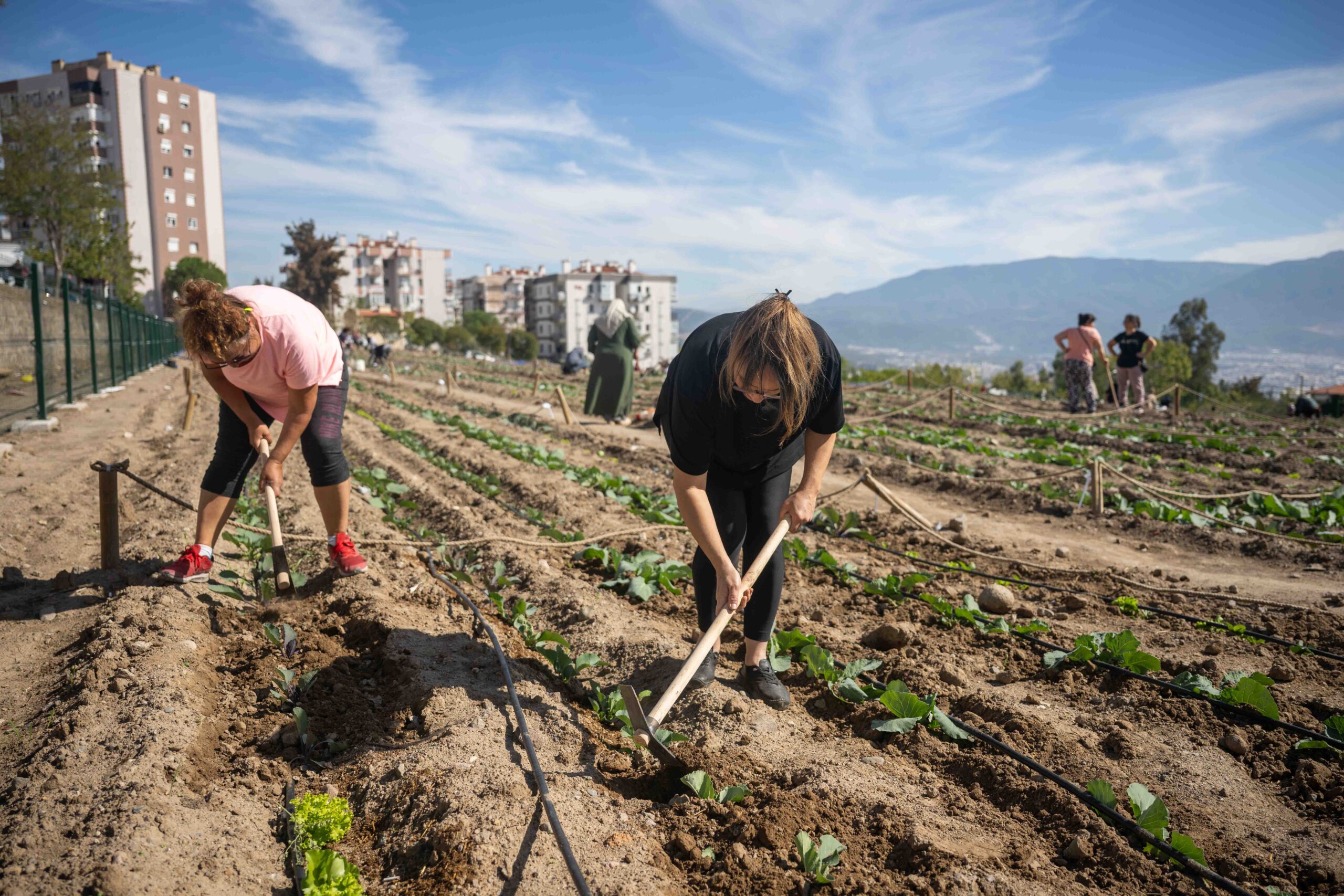 Kadınlar Toprakla, Bornova Umutla Buluşuyor Bornova Belediyesi’nin 6 farklı noktada