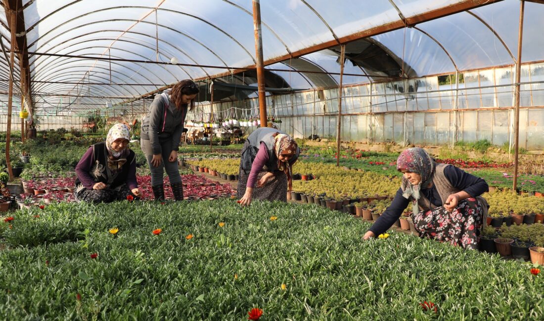 Muğla Büyükşehir Belediyesi, sosyal belediyecilik anlayışıyla üretici
kadınları ve yerel kooperatifleri