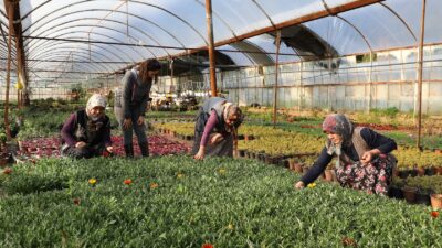 Muğla Büyükşehir Belediyesi, sosyal belediyecilik anlayışıyla üretici
kadınları ve yerel kooperatifleri