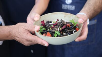 Marmaris Deniz Ürünleri Festivali’nin üçüncü gün etkinlikleri Söğüt Mahallesi’nde
gerçekleştirildi. Olumsuz