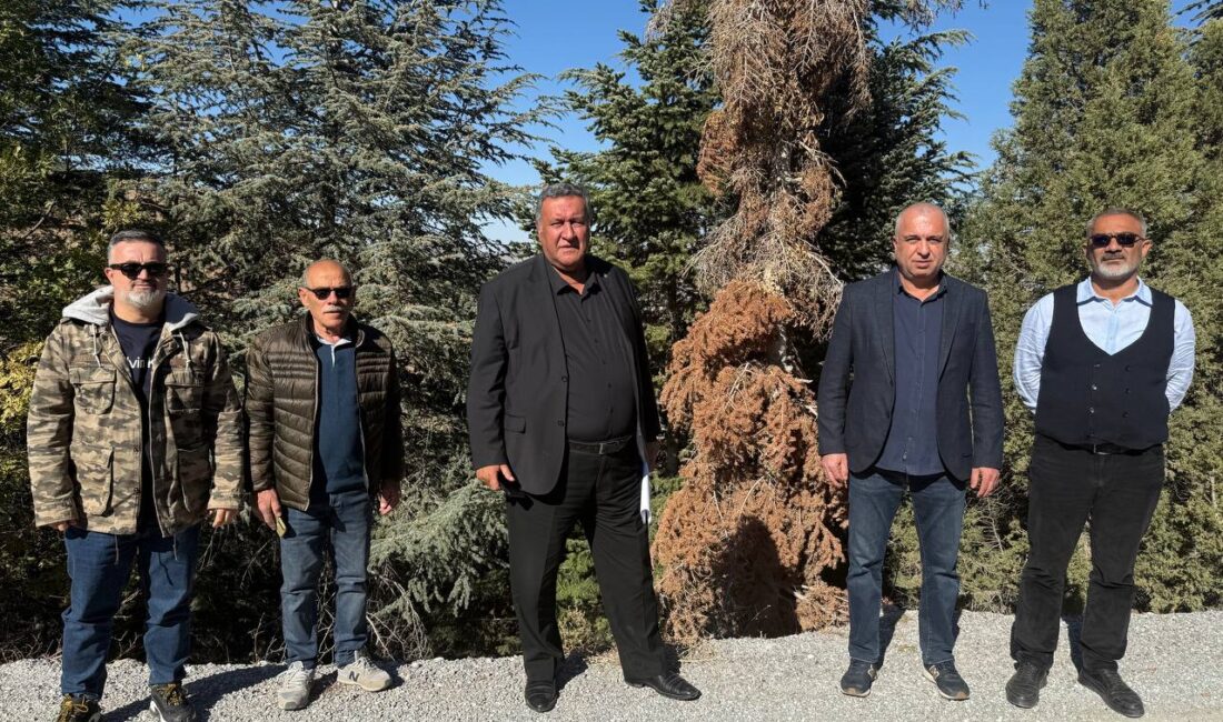 Ömer Fethi Gürer: “Binlerce Hektar Orman Yok Oluyor” CHP Niğde