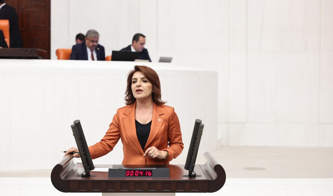 CHP Mersin Milletvekili Gülcan Kış’tan Merkez Bankası Başkanı Fatih Karahan’a: