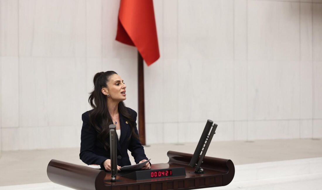 Gizem Özcan: “Datça Belediyesi’nin Gelirine El Koymak, Halka Hizmeti Engelleme