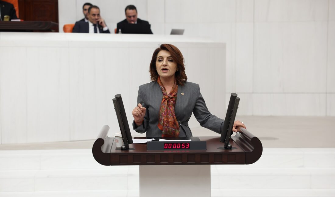 Gülcan Kış: Sendikal Haklar Raporunda Dibe Vurduk, Bakan Hâlâ ‘Mevzuat