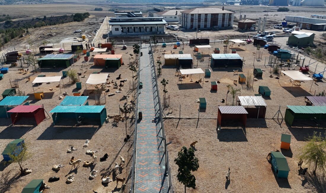 Eskişehir Hayvan Bakımevi ve Doğal Yaşam Alanı Yükseliyor Eskişehir Hayvan Bakımevi ve Doğal Yaşam Alanı Yükseliyor Eskişehir Büyükşehir