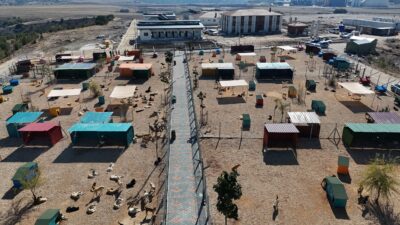 Eskişehir Hayvan Bakımevi ve Doğal Yaşam Alanı Yükseliyor Eskişehir Büyükşehir