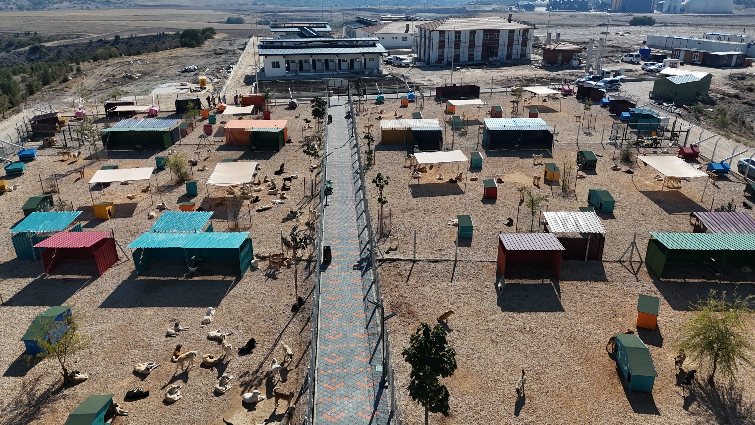 Eskişehir Hayvan Bakımevi ve Doğal Yaşam Alanı Yükseliyor Eskişehir Büyükşehir