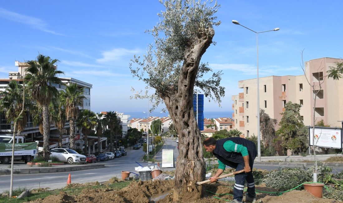 Kuşadası Belediyesi’nden Peyzaj Düzenlemelerine Su Tasarrufu Planlaması Kuşadası Belediyesi’nden Peyzaj Düzenlemelerine Su Tasarrufu Planlaması Kuşadası Belediyesi, kent