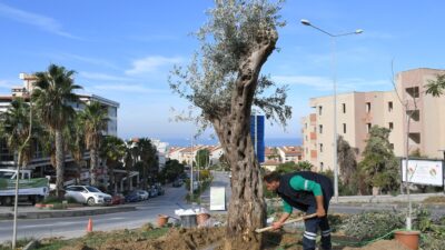 Kuşadası Belediyesi’nden Peyzaj Düzenlemelerine Su Tasarrufu Planlaması Kuşadası Belediyesi, kent