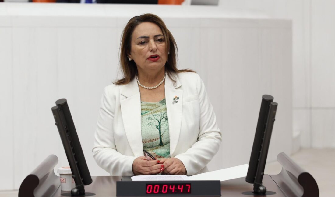 Müzeyyen Şevkin: “Vatandaşın Borcu Rekor Kırdı, İşsizlik Tırmandı” Cumhuriyet Halk