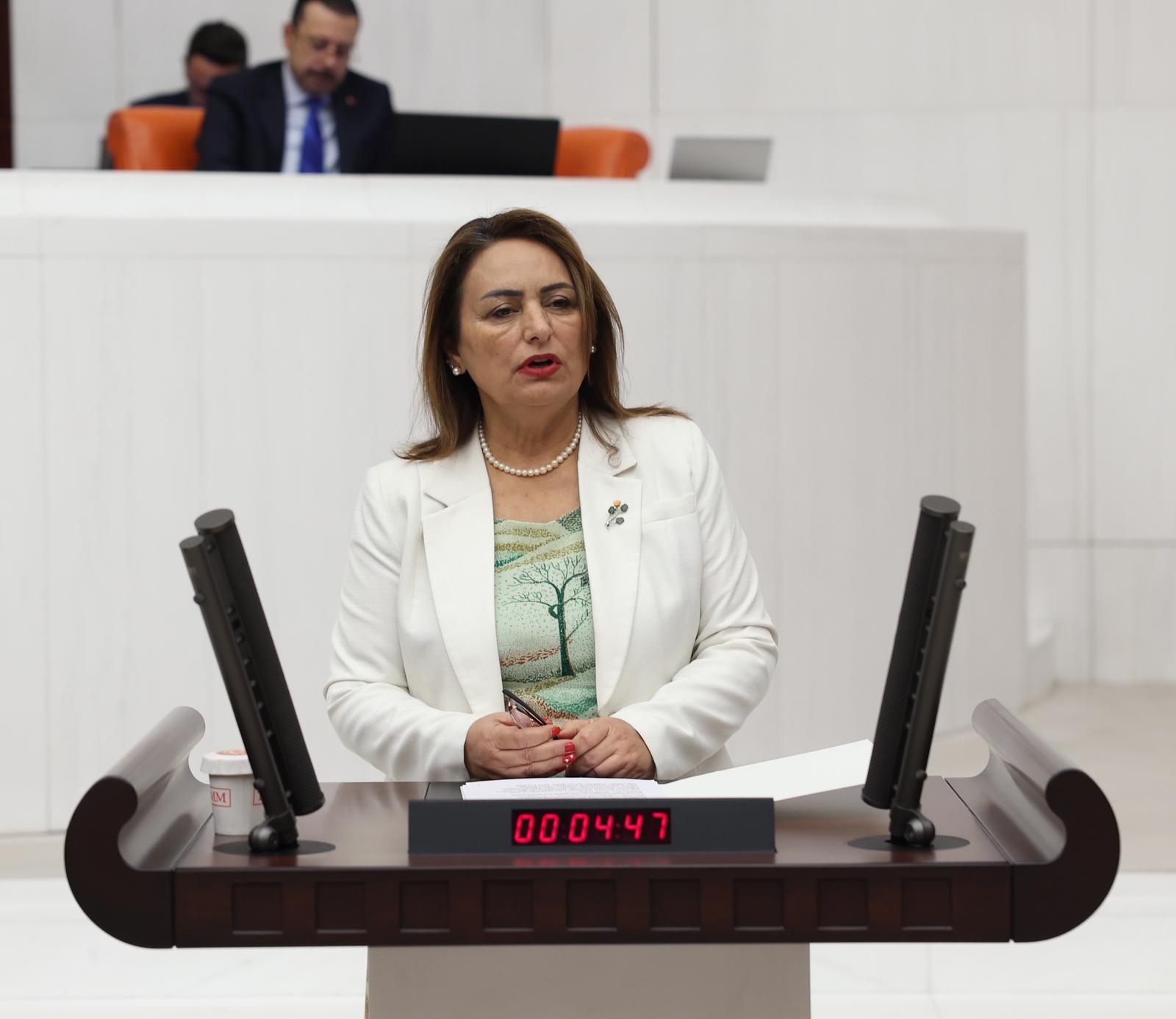 Müzeyyen Şevkin: “Vatandaşın Borcu Rekor Kırdı, İşsizlik Tırmandı” Cumhuriyet Halk