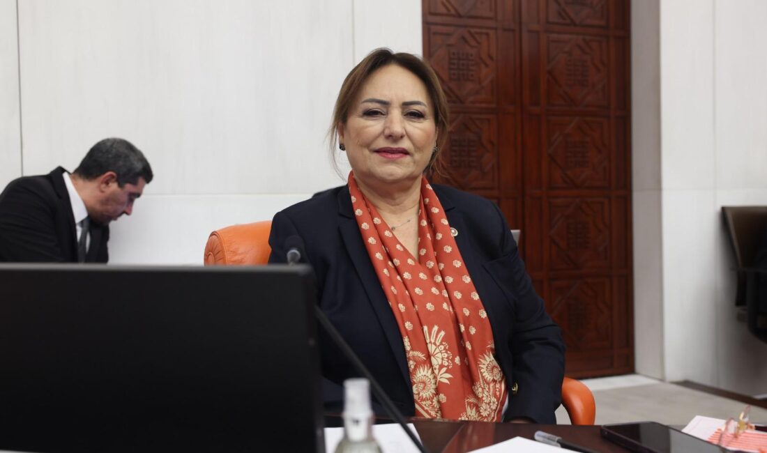 Kentsel Dönüşüm Çıkmazı Meclis’te Kentsel Dönüşüm Çıkmazı Meclis’te Adana’nın Yüreğir ilçesine bağlı Şehit Erkut