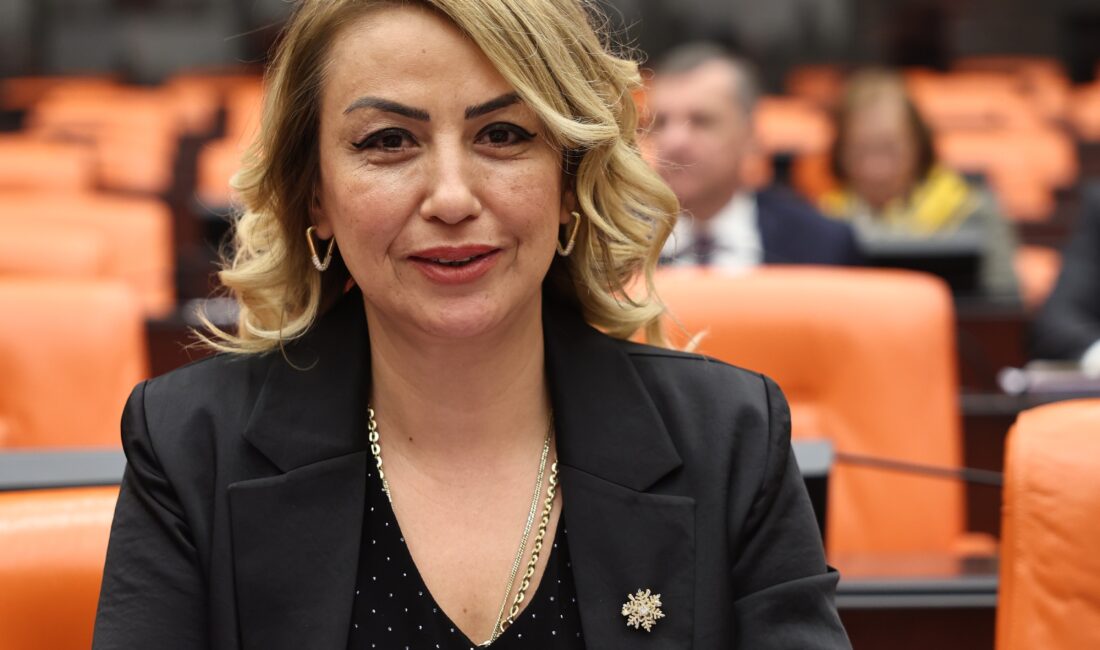 Nermin Yıldırım Kara: Sadece Kamucu Bir Düzen Yoksulluğu Ortadan Kaldırabilir