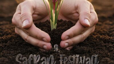 Safranbolu’da Safran Zamanı: 9. Safran Festivali 17-19 Ekim’de Başlıyor UNESCO