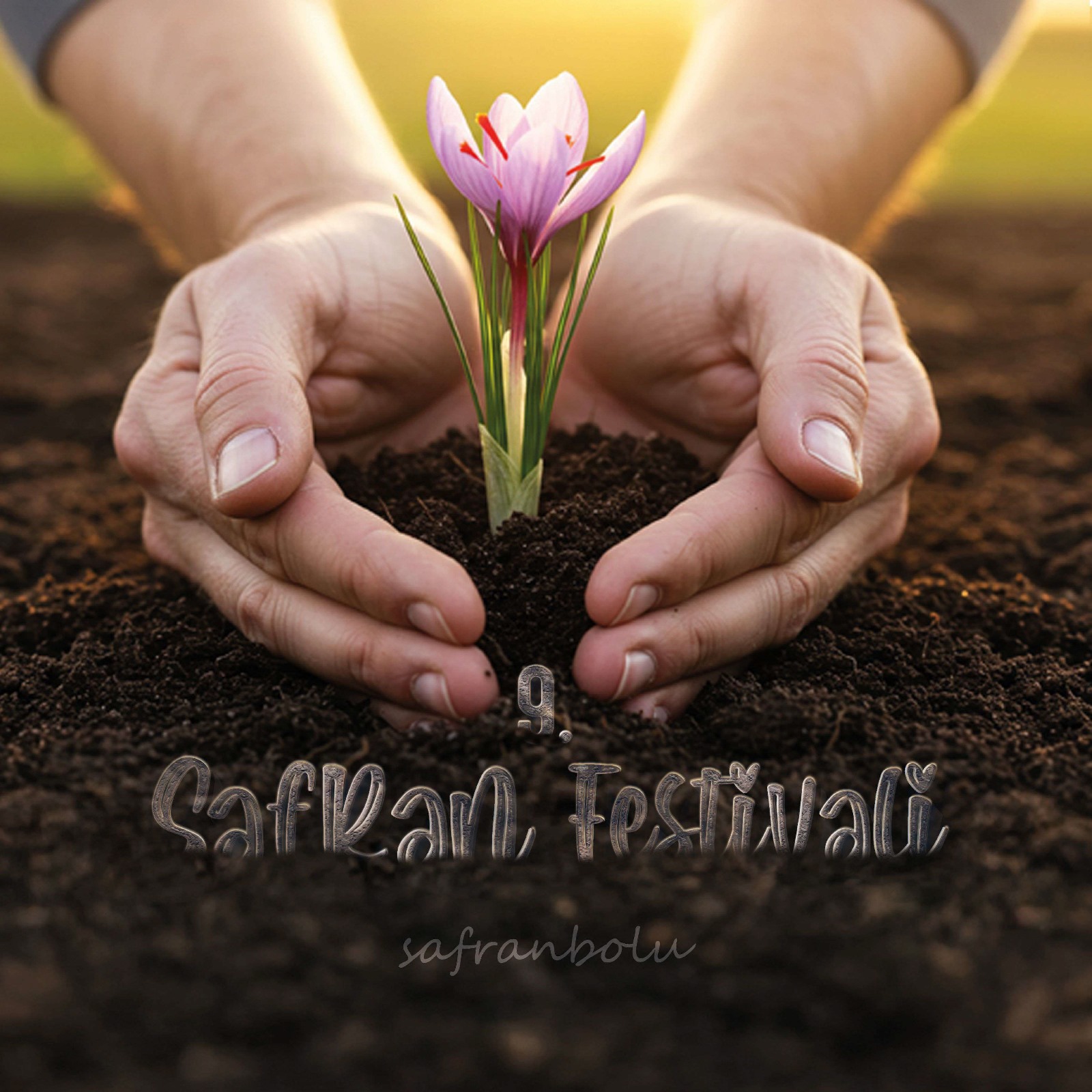 Safranbolu’da Safran Zamanı: 9. Safran Festivali 17-19 Ekim’de Başlıyor UNESCO