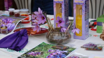 Safranbolu’da 9. Safran Festivali’nde Sanat ve Safran Buluştu UNESCO Dünya