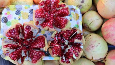 15. Gazipaşa Çekirdeksiz Nar ve Tropikal Meyve Festivali’nin Programı Hazır