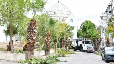 Çiğli’de Sonbahar Bakımı: Ağaçlar Budanıyor, Kent Güzelleşiyor Çiğli’de Sonbahar Bakımı: Ağaçlar Budanıyor, Kent Güzelleşiyor Çiğli Belediyesi, çevre