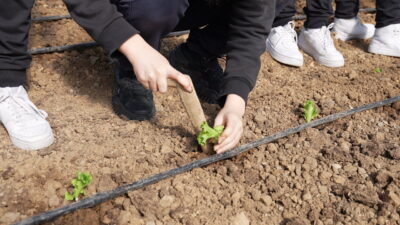 En Mutlu Köy, Öğrencilere ‘Üretim Sevgisi’ Aşılıyor Ortahisar Belediyesi tarafından