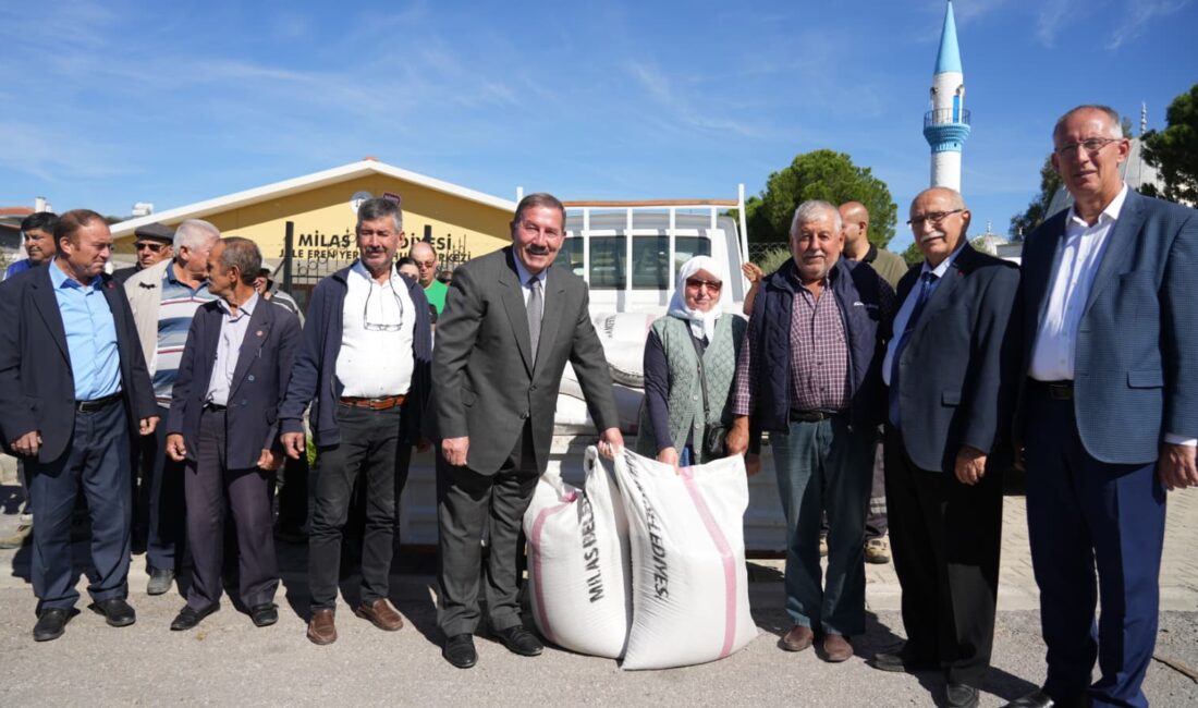 Milas Belediyesi’nden Üreticilere Karakılçık Buğday Tohumu Desteği Milas Belediyesi sürdürülebilir